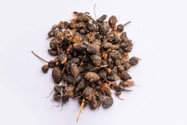 Ayurvedic Nagarmotha - Cyperus Scariosus veya Cypriol bir kase veya yığın içinde