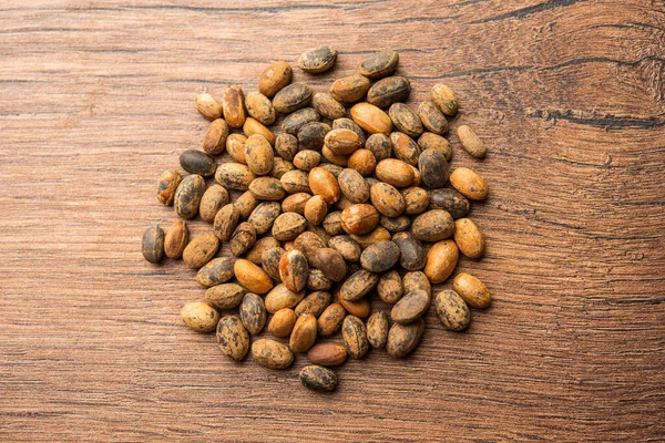 Jamalgota Jayapala Croton Tiglium Seed Ayurvedic Medicine Also Known Purging — Stockfoto