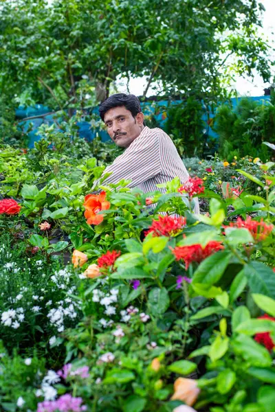 Индийский Поставщик Питомников Человек Продающий Растения Придорожном Магазине — стоковое фото