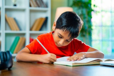 Hint Asyalı Küçük Çocuk Modern Ev Masasında Oturuyor, Ödevini Not Defterine Yazarak Tamamlıyor veya Çalışıyor, Akademik Görevlere Odaklanıyor, Eğitime, Öğrenme Alışkanlıklarına, Günlük Çalışma Programına Odaklanıyor
