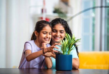 Hintli Asyalı genç bir kadın ve şirin küçük kızı yeşil saksı bitkisine bozuk para koyarken modern bir evde masa başında, finansal büyümeyi ve erken tasarruf alışkanlıklarını simgeliyor.