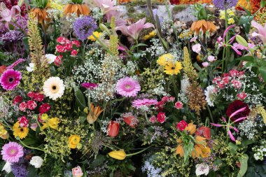 Rengarenk çiçek çeşitleri, canlı bir çiçek düzeninde birlikte sergilenir.