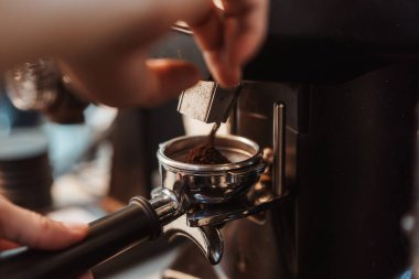 Kahve öğütücü espresso makinesi için portafilter içine taze kahve çekirdekleri öğütür. Kahveci kahve çekirdeğini öğütücü makinesiyle öğütür. Seçici odak.