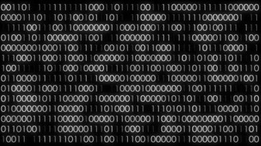 Teknoloji ikili kodu. Ekranda rastgele düşen beyaz parmaklar. Hacklenmiş yazılım. Matris bilimi geçmişi. Büyük veri analizleri. 3B görüntüleme.