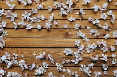 Birçok beyaz kayısı çiçekleri kahverengi bir kırsal ahşap arka planda yatar. Bahar konsepti, üst görünüm, kopyalama alanı.