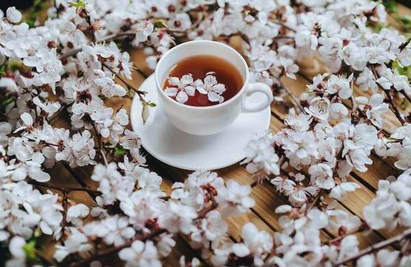White cup of green tea and spring apricot blossom on a brown wooden background. Rustic. Spring concept.