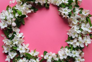 Çiçek açan elma ağaçlarının doğal çelenkleri ve suluboya kağıdından yapılmış pembe arka planda yeşil yapraklar. Metin eklemek için boşluk ve alanı kopyala.