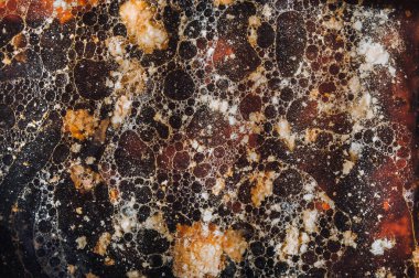 Fat dosya sisteminden bulaşıkları yıkamak. Fırın tepsisi yağ lekesi. Bulaşık makinesi konsepti.