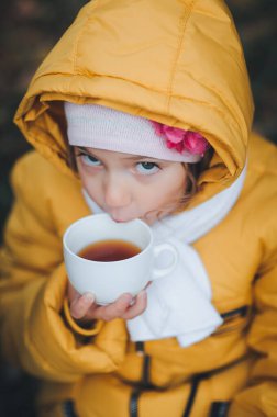 Sonbahar parkında çay içen küçük bir kız. Bir fincan çayla güzel bir kız çocuğu, açık hava portresi. Üst görünüm.
