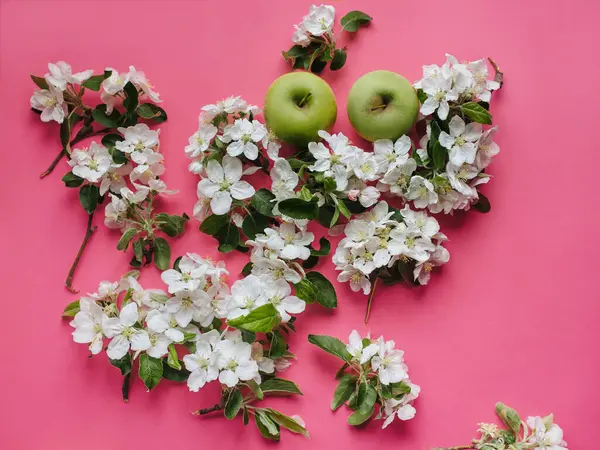 Zielone Jabłka Leżą Różowym Tle Otoczonym Kwiatem Jasnego Jabłka Koncepcja — Zdjęcie stockowe