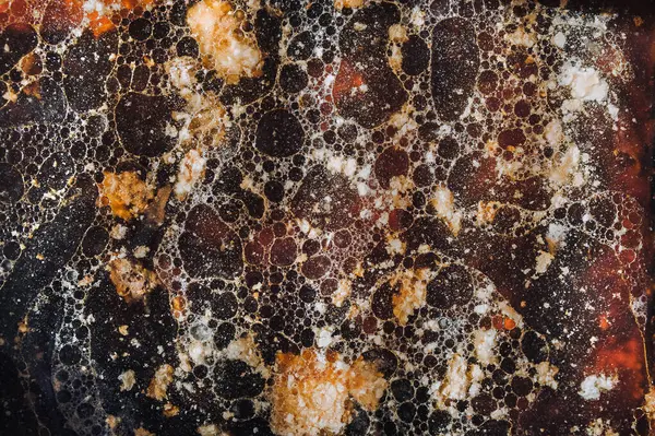 Fat dosya sisteminden bulaşıkları yıkamak. Fırın tepsisi yağ lekesi. Bulaşık makinesi konsepti.