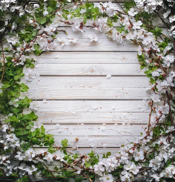Spring Wreath Frame White Flowers Branches Isolated Old Retro White — Stock Photo, Image