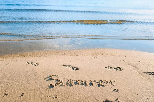 Word Summer Written Sand Sea Beach Season Walking Dog Beach — Stock Photo, Image