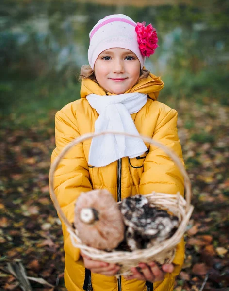 Girl Holding Basket Mushrooms Lactarius Parents Teach Little Daughter Pick — Stock Photo, Image