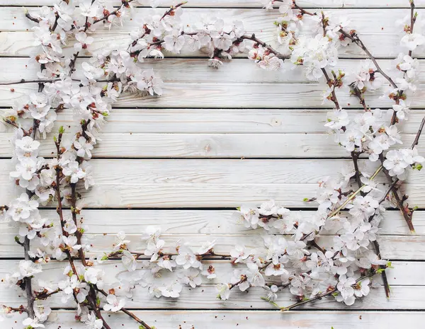 Vintage Wooden Shabby Background Branches Blossoming Apricot Frame Wreath White Stock Picture