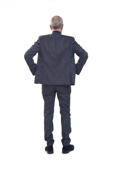 Back View Man Standing Suit Tie Arms Akimbo White Background — Stock Photo, Image
