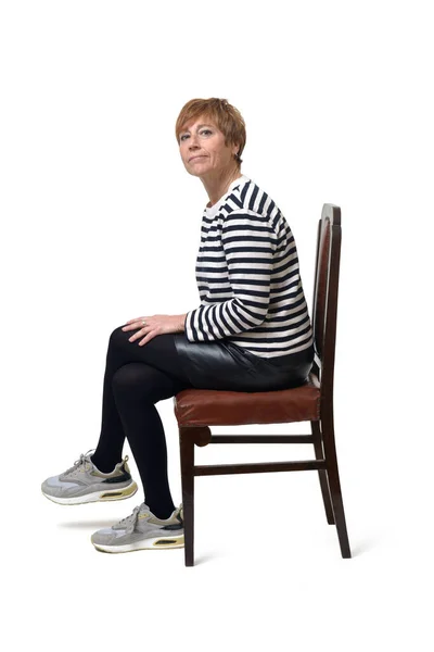 치마를 스웨터를 의자와 다리에 배경에 카메라를 여성의 — 스톡 사진