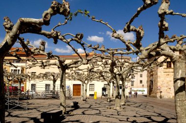 Square of  Viriato, Zamora, Castille an Leon,  Spain clipart