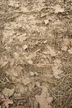 Yağmurdan sonra kırsal bir yolun dokusu ve araçların, bisikletlerin, motosikletlerin geçişi....