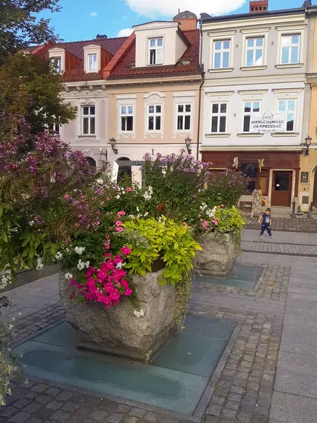 Rynku Prostopadle Leuchtende Blumen Blumenbeet Sehenswürdigkeiten Bielsko Biala Polen — Stockfoto