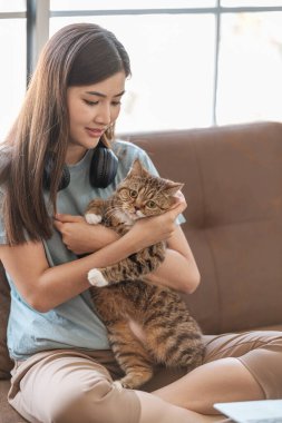 Bilgisayarlı akıllı Asyalı kadın evde kedisiyle oynarken internetten öğreniyor. Yüksek kalite fotoğraf