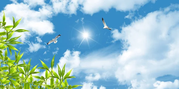 Stretch ceiling decoration image. Seagulls flying in the sunny sky and green leaves. Bottom-up view of the sky.