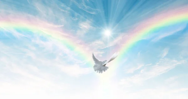Dove flying towards white clouds with rainbow.