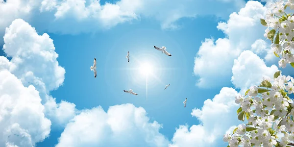 Seagulls flying among the clouds in the sunny sky. White blooming tree branches. 3D stretch ceiling decoration image