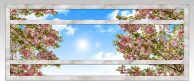 Blooming tree branches and sunny blue sky behind window frame. Bottom up view of sky.