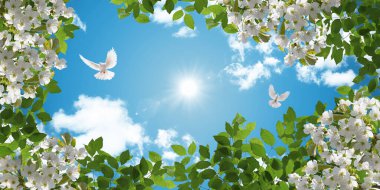 3d stretch ceiling decoration pattern. White cherry blossoms and flying white doves among green tree leaves. Sunny sky background. Suitable for high quality uv digital printing.