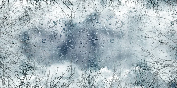 sky and tree branches behind rainy glass