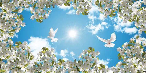 3D stretch ceiling decoration pattern. White cherry blossoms and flying white doves. Beautiful sunny sky background.
