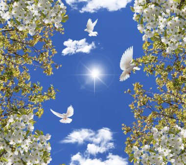 White doves flying among green tree leaves and newly bloomed flowers in spring.