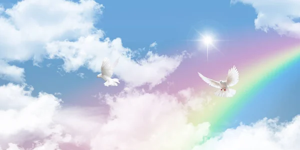 Spectacular rainbow and flying white doves in natural sunny sky. Blue sky and rainbow background