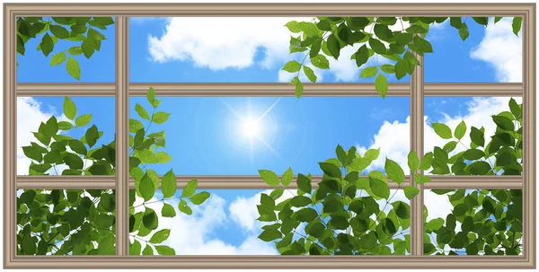Stretch ceiling sky model. Brown window frame with green tree leaves and sunny blue sky. Bottom up view of sky