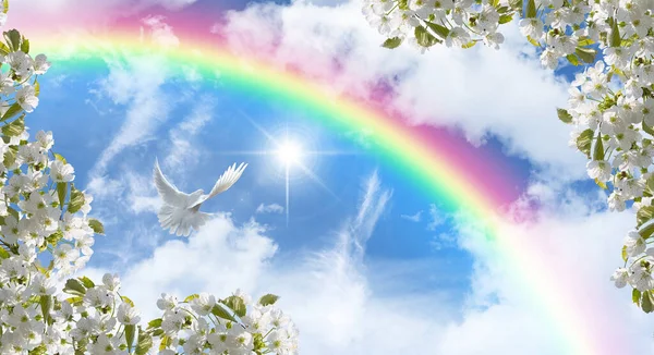 Dove flying through white flowers towards the sunny blue sky and rainbow