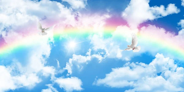 White doves flying among the clouds in the beautiful sunny sky. Bottom-up view of rainbow and sky after rain.