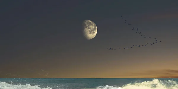 Shining moon and lots of flying birds over the calm sea at sunset . View from the beach to the sea and sky. Amazing nature landscape.