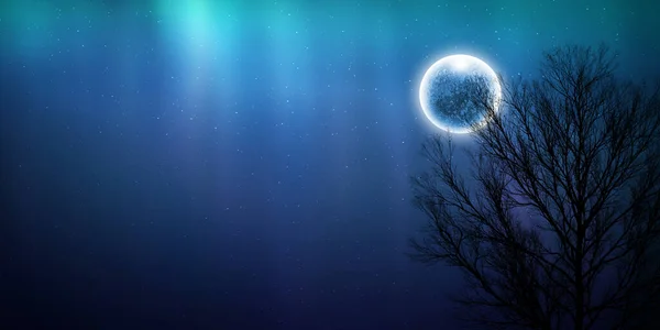 Ночной Вид Небо Северное Сияние Полная Луна Звездном Небе — стоковое фото