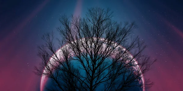 Удивительный Вид Ночное Небо Лунный Свет Полярное Сияние Одинокий Силуэт — стоковое фото