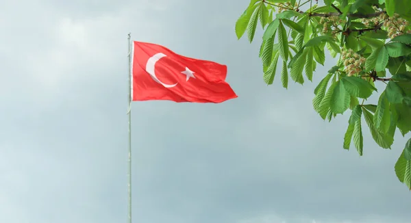 Gröna Trädblad Och Turkisk Flagga Viftar Himlen — Stockfoto