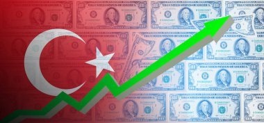 Türk Lirası 'nın Amerikan doları ve ulusal para birimlerine karşı devalüasyonu. Türkiye 'de ekonomik kriz.