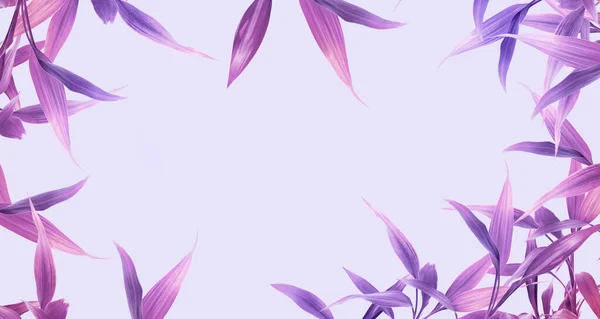 Decorative Stretch Ceiling Wallpaper Pattern Purple Color Tropical Leaf Frame — Stock Photo, Image