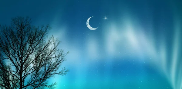 Северное Сияние Северного Сияния Силуэт Дерева Светящийся Полумесяц Ночном Звездном — стоковое фото