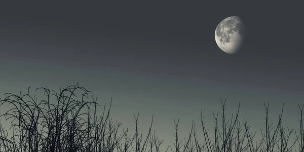 Der Mond Scheint Wolkenlosen Dunklen Himmel Mitternacht — Stockfoto
