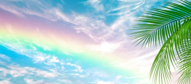 Güzel mavi gökyüzü ve gökkuşağı palmiye yapraklarının arkasında. İnanılmaz doğa manzarası. Gergin tavan dekorasyonu ve duvar kağıdı resmi.