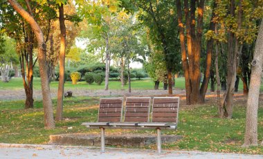 Sonbahar sezonu halk parkı ve boş bank