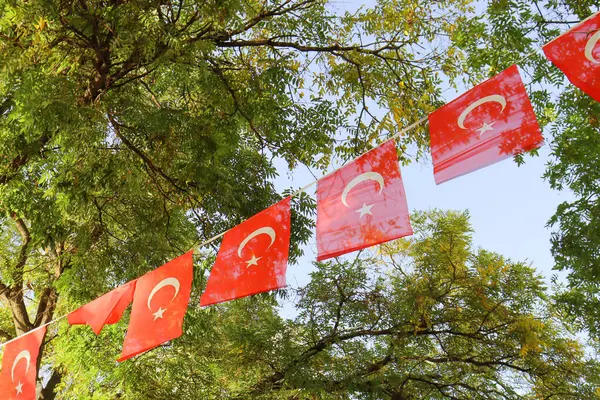 Türk Bayragi - Türk ulusal günlerinde ağaç dallarında asılı Türk bayrakları. 23 Nisan, 19 Mayıs, 30 Ağustos ya da 29 Ekim..