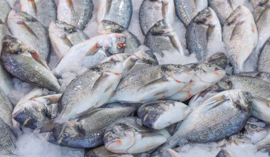 Pazarda sergilenen taze deniz balığı. Sağlıklı deniz ürünleri konsepti. Balık dokusu arkaplan resmi