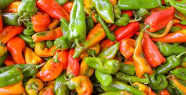 Üst görünüm kırmızı biber desenli arka plan fotoğrafı. Renkli biberler kırmızı, yeşil ve turuncu